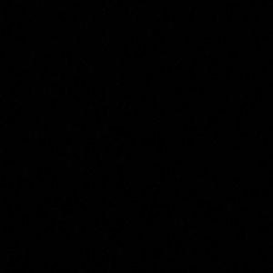 Meet your Posher, Jake